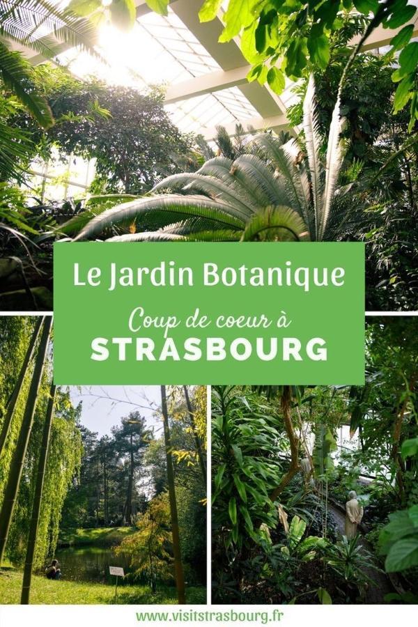 Appartement 6 Personnes Strasbourg Proche Centre Ville & Parking Zewnętrze zdjęcie